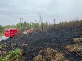 【速報】喜多方市の山林火災が鎮圧　通報から24時間　福島　|　福島のニュース│TUF