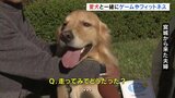 ファッションショーにフィットネスも!愛犬と一緒に楽しむ「わんわんフェスティバル」開催 福島 | 福島のニュース│TUF