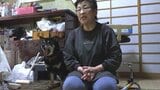 「クマが家に入ろうとしている」と通報　飼い犬を追いかけて、成獣1頭が網戸を破って侵入　しかし、女性の大声に驚き立ち去る　岩手・釜石市　|　IBC NEWS | IBC岩手放送