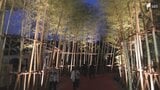 「土肥金山」“金”をテーマにリニューアルした庭園がオープン 五輪3連覇の柔道家・野村忠宏さんらが鏡開き ライトアップイベント開催＝静岡・伊豆市　|　静岡のニュース | SBSNEWS | 静岡放送