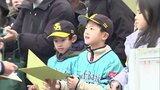 プロ野球春季キャンプ　初の週末　宮崎県内のキャンプ地にぎわう　|　MRTニュース ｜ ＭＲＴ宮崎放送