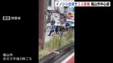 【動画ニュース】市中心部に体長１mのイノシシ　かまれ男女２人けが　警察官が “盾” 使い取り押さえる　28日 広島　|　RCC NEWS | 広島ニュース | RCC中国放送