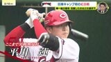 【カープ日南キャンプ】ドラフト１位の平川蓮　初の紅白戦でアピール|TBS NEWS DIG