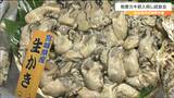 「エキスがぶわっと出ておいしかった」県産カキ初入荷 海水温上昇で例年より1か月遅く 仙台|TBS NEWS DIG