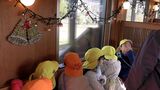 「クリスマスが始まった感じがする」井原鉄道・“夢やすらぎ号”がクリスマス列車に 車内に電飾の光が浮かぶ【岡山】|TBS NEWS DIG