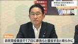 岸田総理が仙台の原告らと17日面会へ　旧優生保護法訴訟で最高裁「憲法違反」判決受け|TBS NEWS DIG