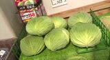 キャベツは去年の約2倍の価格…暖冬が野菜高騰に影響？今後の見通しは？　|　SBC NEWS | 長野のニュース | SBC信越放送