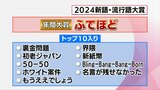 新語・流行語大賞の年間大賞に「ふてほど」 宮崎県民の印象に残った2024年の言葉は? | MRTニュース | MRT宮崎放送
