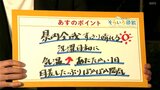 高知の天気 14日はぽかぽか陽気に 花粉が非常に多く飛散するので対策をしっかりと 東杜和気象予報士が解説 | 高知のニュース・天気|KUTV NEWS | KUTVテレビ高知