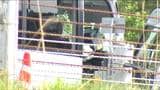 レンタカーでの遠征が常態化か【磐越道バス事故】「顧問が事故起こして以降 保護者や外部者が運転」|TBS NEWS DIG