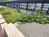 台風10号接近 倒木などの被害各地で | 長崎のニュース | 天気 | NBC長崎放送