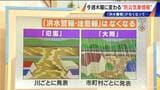 5月28日に変わる“防災気象情報”のポイント 川の情報は ｢河川氾濫｣と｢大雨｣に 呼びかけが分かれる理由とは【解説】|TBS NEWS DIG
