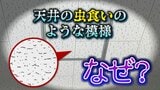 なぜ学校の天井は「虫食いのような模様」なの?半世紀以上も日本の建築を支える “ジプトーン” 奇妙な「点」に隠された機能性とは|TBS NEWS DIG