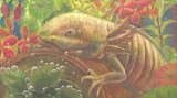 「県高文連 美術・工芸中央展」高校生が感性に訴えて描いた絵画など191点を展示 大分 | 大分のニュース|OBS NEWS|大分放送