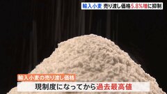 4月以降の輸入小麦の売り渡し価格　値上げ率を5.8%に抑制…政府は家計負担軽減につなげたい考えも物価高に対する効果は限定的との指摘も| TBS CROSS DIG with Bloomberg