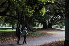 快適な老後には6700万円必要、豪年金団体が推計－物価高が家計圧迫| TBS CROSS DIG with Bloomberg