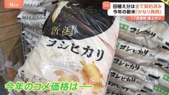 東大特任教授が指摘「価格が下がる見込みが薄いと言わざるを得ない」 コメの価格の高騰 「新米」には期待できない　価格影響は限定的か| TBS CROSS DIG with Bloomberg