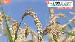 【速報】コメ価格が「半年ぶりに4000円割れ」5週連続下落　民間の在庫だぶつき顕著　農林水産省| TBS CROSS DIG with Bloomberg