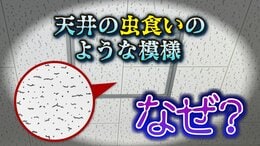 なぜ学校の天井は「虫食いのような模様」なの?半世紀以上も日本の建築を支える “ジプトーン” 素材に隠された機能性とは|TBS NEWS DIG
