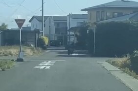 中学生を追いかけたクマ…その後の目撃情報なし　町は「熊は移動した」と判断もパトロール継続（山形・河北町）|TBS NEWS DIG