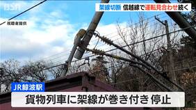JR信越線で架線が巻き付き貨物列車が停止　越後線や弥彦線にも影響　22日始発から通常運行へ　新潟・柏崎市|TBS NEWS DIG