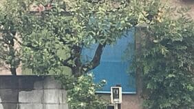 【速報】千葉・野田市の80代高齢夫婦宅に3人が押し入り手足を縛って金庫を奪取　男性がバールのようなもので殴られけが　強盗傷害事件として捜査|TBS NEWS DIG