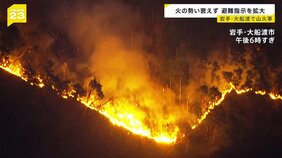 火の勢い衰えず避難指示を拡大　延焼続く岩手・大船渡の山火事　被害拡大なぜ？重なった条件とは【news23】|TBS NEWS DIG