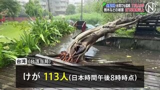台風9号の影響　台湾で113人けが、倒木や建物損壊などの被害報告2150件以上| TBS CROSS DIG with Bloomberg