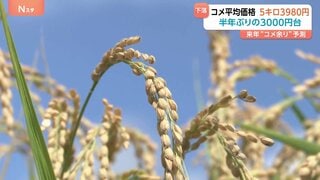 【速報】コメ価格が「半年ぶりに4000円割れ」5週連続下落　民間の在庫だぶつき顕著　農林水産省| TBS CROSS DIG with Bloomberg