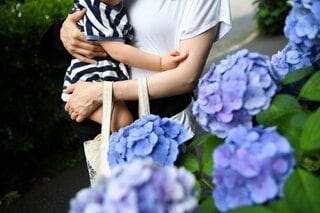 「結婚＝生命保険」ライフイベントで保険に入る時代は終わった？15年の調査から読み解く「新たな生保ニーズ」| TBS CROSS DIG with Bloomberg