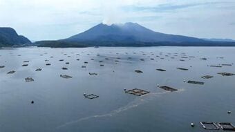 鹿児島湾の赤潮で養殖ブリ2万3000匹被害 県漁協牛根支所の年間生産量の約1.7% プランクトン減少も現場では緊張続く|TBS NEWS DIG