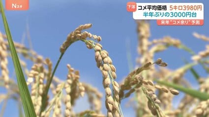 速報】コメ価格が「半年ぶりに4000円割れ」5週連続下落 民間の在庫だぶ