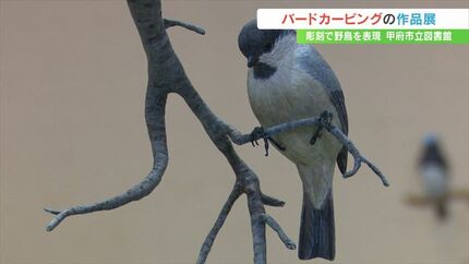 本物そっくり！ 実寸大の野鳥の彫刻など約100点 バードカービングの