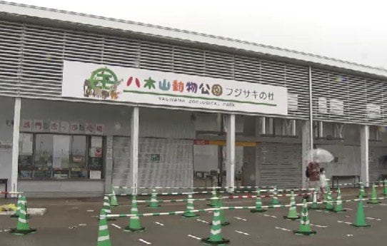 【速報】「最後の1羽が死亡」動物園でフンボルトペンギンの死亡続き展示急きょ中止に原因は…「大変重く受け止める」|TBS NEWS DIG
