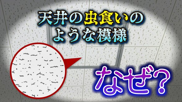 なぜ学校の天井は「虫食いのような模様」なの？半世紀以上も日本の建築を支える “ジプトーン” 奇妙な「点」に隠された機能性とは　|　富山のニュース｜天気・防災｜チューリップテレビ