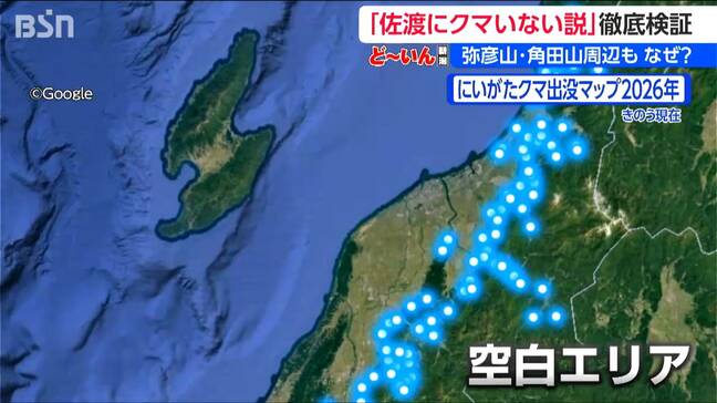 「1頭もいません」新潟の“クマ空白地帯” 目撃ゼロの佐渡・弥彦・角田山 出没相次ぐクマがなぜいない? 海峡と平野が隔てた生態系のフシギ|TBS NEWS DIG