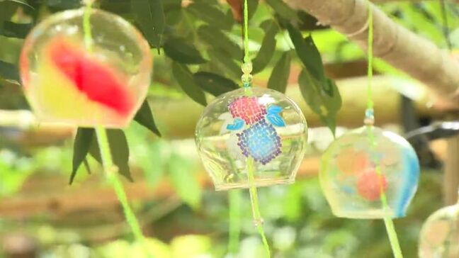 ふうりんの小径 南九州市・鹿児島【亀ちゃんのかごしま撮った!】|TBS NEWS DIG