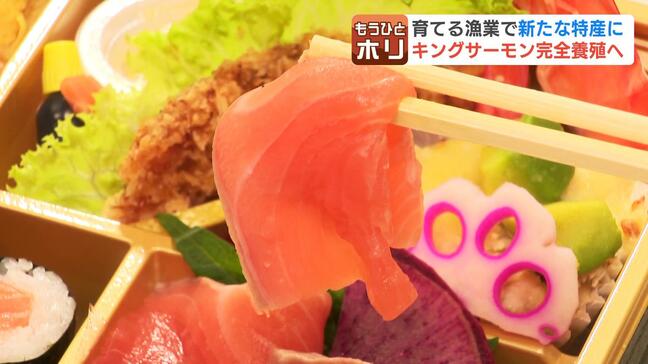 イカのまちを救うのは「サケの王様」不漁にあえぐ函館市でキングサーモン完全養殖へ　品種改良を繰り返し食卓に並ぶのは12年後か|TBS NEWS DIG