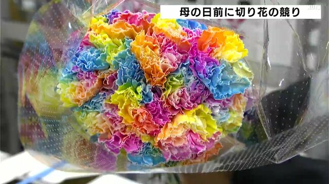 母の日前に切り花の競り　カーネーションのトレンドは大きな花が特徴の「大輪系」|TBS NEWS DIG