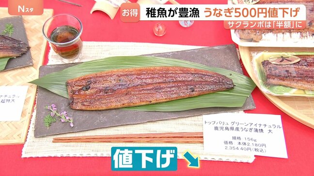 今年はお得!うなぎ500円値下げ!サクランボは「去年の半額」に?|TBS NEWS DIG