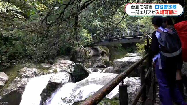 台風被害で通行止めの白谷雲水峡　通行可能に　縄文杉や宮之浦岳コースは？　鹿児島|TBS NEWS DIG