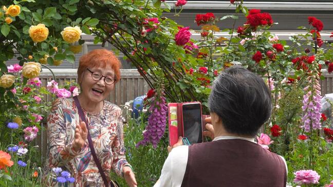 住宅街に１６０種の“バラ園”！夫婦が育てたバラたちと生演奏の共演！あたり一面に甘い香り「笑顔が一番うれしい」【高知】|TBS NEWS DIG
