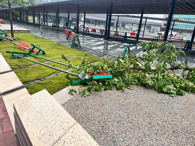 台風10号接近　倒木などの被害各地で|TBS NEWS DIG