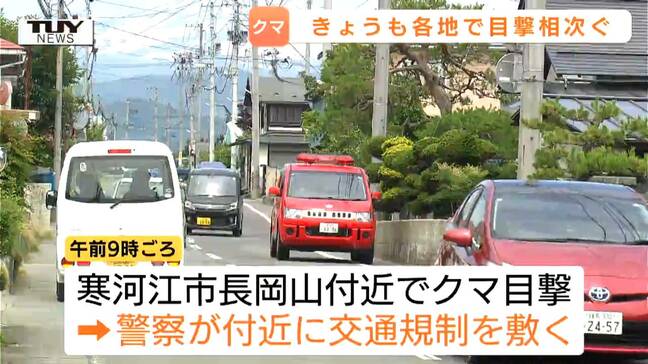 止まらないクマの目撃...爆発的に増加した去年を上回るペース 寒河江市では中心部での出没相次ぐ(山形)|TBS NEWS DIG