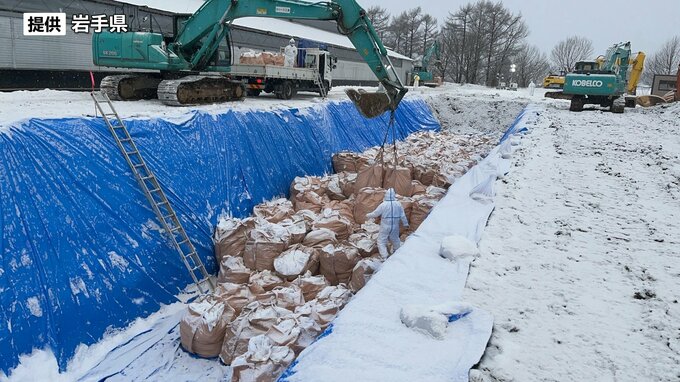 殺処分は81％終了　県職員の動員延べ750人に　防疫措置は6日完了の見込み　高病原性鳥インフルエンザ疑いの盛岡市の養鶏場　岩手|TBS NEWS DIG