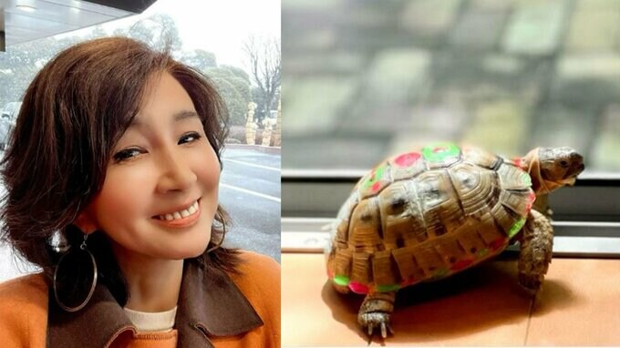 【秋吉久美子】　ペットのリクガメ「失踪」で　警察に遺失物届提出も…「もうほんとにご心配をおかけして、すみませーん。、、」「普段使わない部屋の片隅で、眠っていた、、。」|TBS NEWS DIG