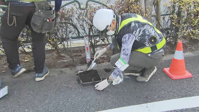 ビッグモーター店舗前の街路樹問題　東京都が土壌調査開始|TBS NEWS DIG