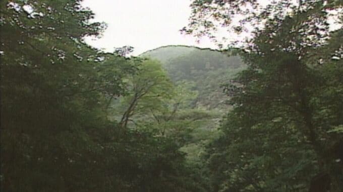 「倒れている状態で男性を発見した」高齢の男性が倒れているのが見つかりその場で死亡確認　近くに住む70代男性か　福岡･行橋市　|　福岡のニュース｜RKB NEWS｜RKB毎日放送