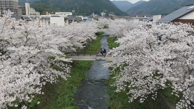 過去最高12万5530人　山口県の外国人延べ宿泊者数　2024年|TBS NEWS DIG