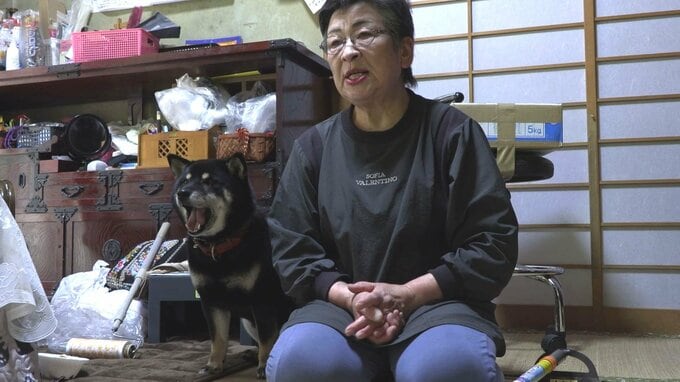 「クマが家に入ろうとしている」と通報　飼い犬を追いかけて、成獣1頭が網戸を破って侵入　しかし、女性の大声に驚き立ち去る　岩手・釜石市　|　IBC NEWS | IBC岩手放送